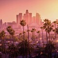 OMNI Practice Group is the leading provider of Practice Transitions, Sales, Valuations, Consulting and Real Estate Services. Our team has over 100 years combined experience finding the perfect match for buyers and sellers.