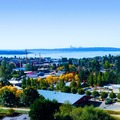 OMNI Practice Group is the leading provider of Practice Transitions, Sales, Valuations, Consulting and Real Estate Services. Our team has over 100 years combined experience finding the perfect match for buyers and sellers.