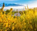 OMNI Practice Group is the leading provider of Practice Transitions, Sales, Valuations, Consulting and Real Estate Services. Our team has over 100 years combined experience finding the perfect match for buyers and sellers.