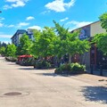 OMNI Practice Group is the leading provider of Practice Transitions, Sales, Valuations, Consulting and Real Estate Services. Our team has over 100 years combined experience finding the perfect match for buyers and sellers.
