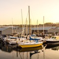 OMNI Practice Group is the leading provider of Practice Transitions, Sales, Valuations, Consulting and Real Estate Services. Our team has over 100 years combined experience finding the perfect match for buyers and sellers.