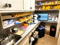 Sterilization