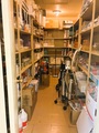 Supply